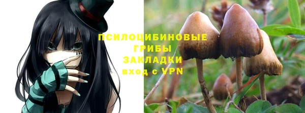 spice Абаза