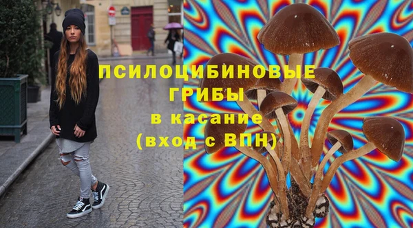 spice Абаза