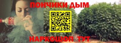 прущие грибы Долгопрудный