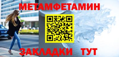 прущие грибы Долгопрудный