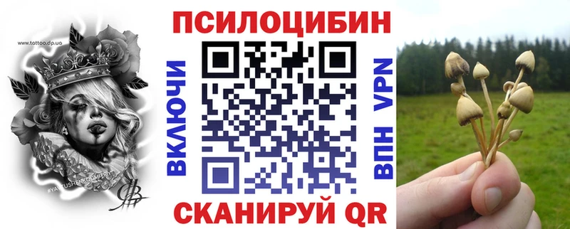 Псилоцибиновые грибы ЛСД  закладка  Каменка 