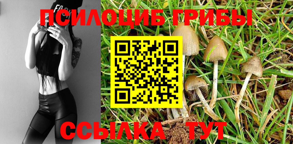 Каменка  Псилоцибиновые грибы GOLDEN TEACHER  Вход с VPN 